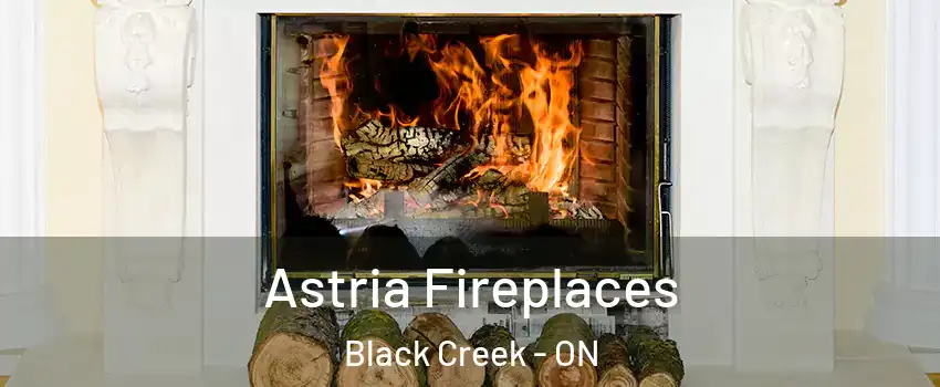  Astria Fireplaces Black Creek - ON