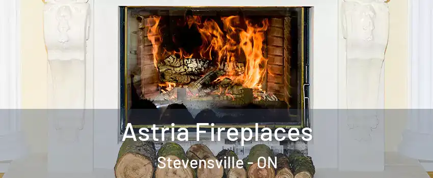  Astria Fireplaces Stevensville - ON