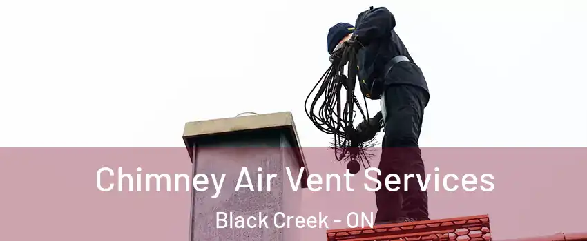  Chimney Air Vent Services Black Creek - ON