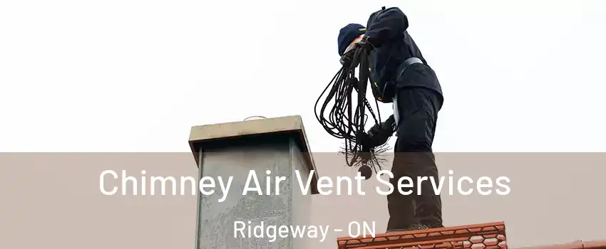  Chimney Air Vent Services Ridgeway - ON