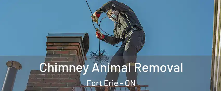  Chimney Animal Removal Fort Erie - ON
