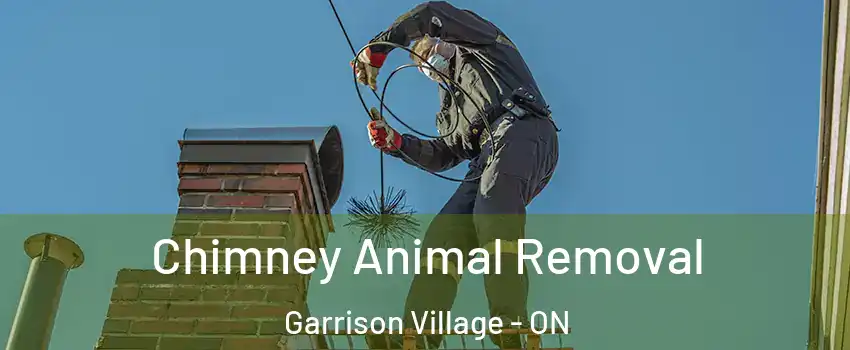  Chimney Animal Removal Garrison Village - ON