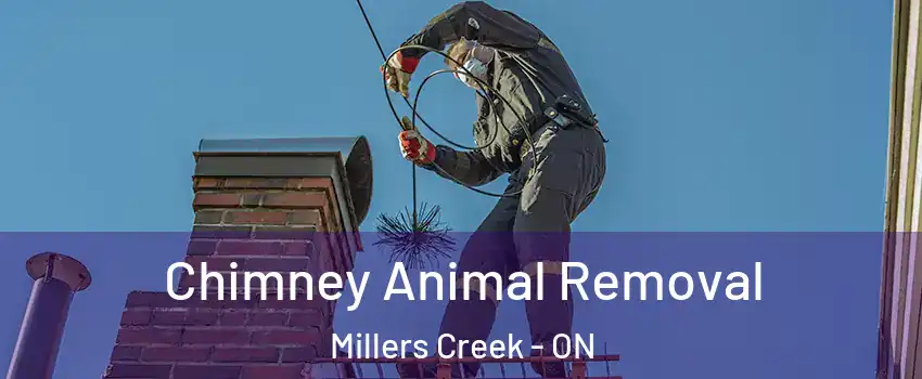  Chimney Animal Removal Millers Creek - ON