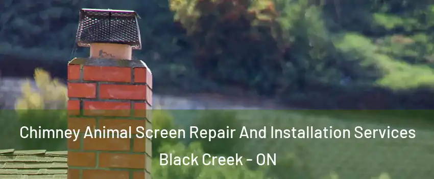  Chimney Animal Screen Repair And Installation Services Black Creek - ON
