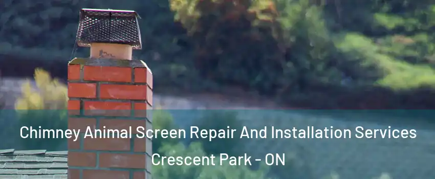  Chimney Animal Screen Repair And Installation Services Crescent Park - ON