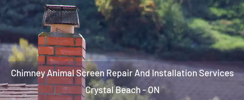  Chimney Animal Screen Repair And Installation Services Crystal Beach - ON