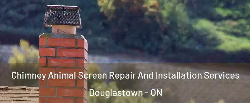  Chimney Animal Screen Repair And Installation Services Douglastown - ON