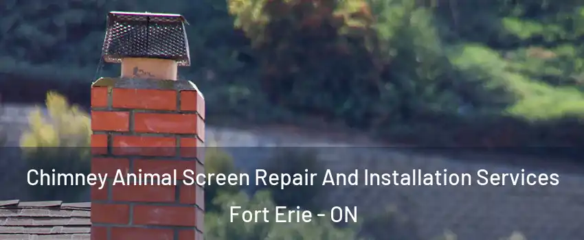  Chimney Animal Screen Repair And Installation Services Fort Erie - ON