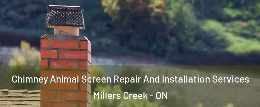  Chimney Animal Screen Repair And Installation Services Millers Creek - ON