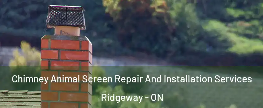  Chimney Animal Screen Repair And Installation Services Ridgeway - ON