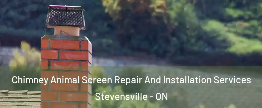  Chimney Animal Screen Repair And Installation Services Stevensville - ON