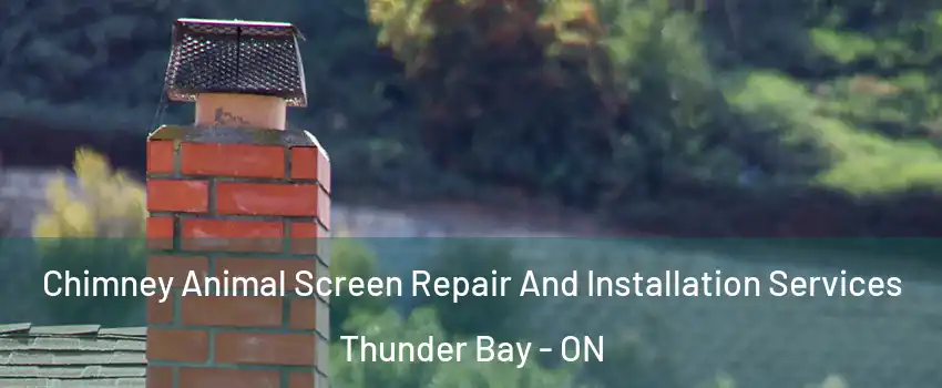  Chimney Animal Screen Repair And Installation Services Thunder Bay - ON