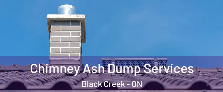  Chimney Ash Dump Services Black Creek - ON