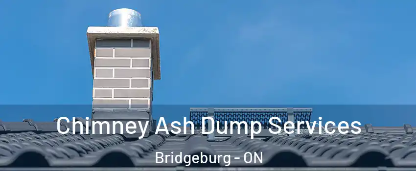  Chimney Ash Dump Services Bridgeburg - ON
