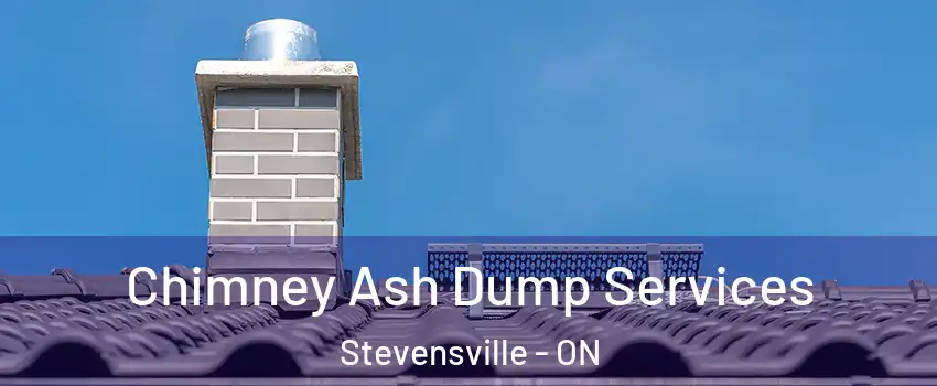  Chimney Ash Dump Services Stevensville - ON