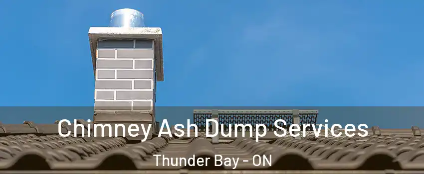  Chimney Ash Dump Services Thunder Bay - ON