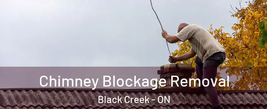  Chimney Blockage Removal Black Creek - ON