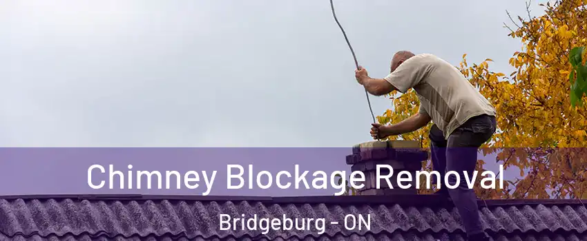  Chimney Blockage Removal Bridgeburg - ON
