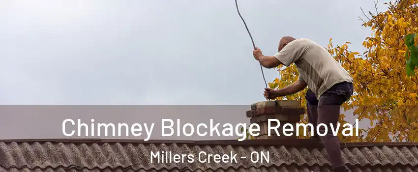  Chimney Blockage Removal Millers Creek - ON