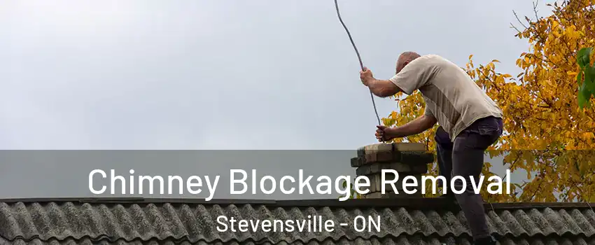  Chimney Blockage Removal Stevensville - ON