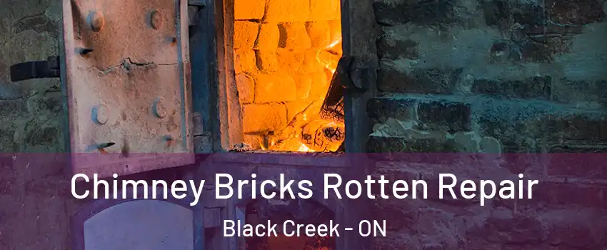  Chimney Bricks Rotten Repair Black Creek - ON