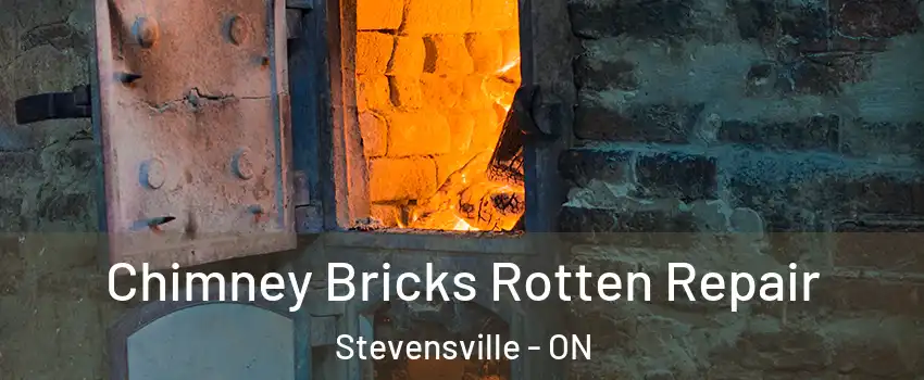  Chimney Bricks Rotten Repair Stevensville - ON