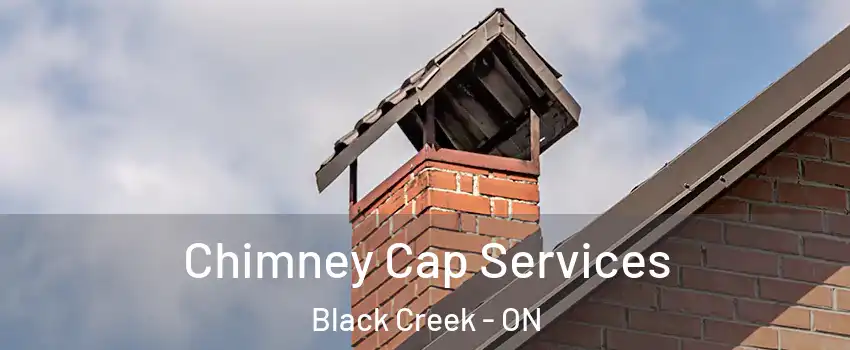  Chimney Cap Services Black Creek - ON