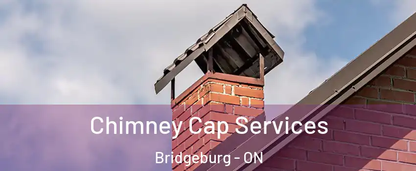  Chimney Cap Services Bridgeburg - ON