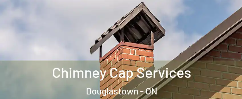  Chimney Cap Services Douglastown - ON