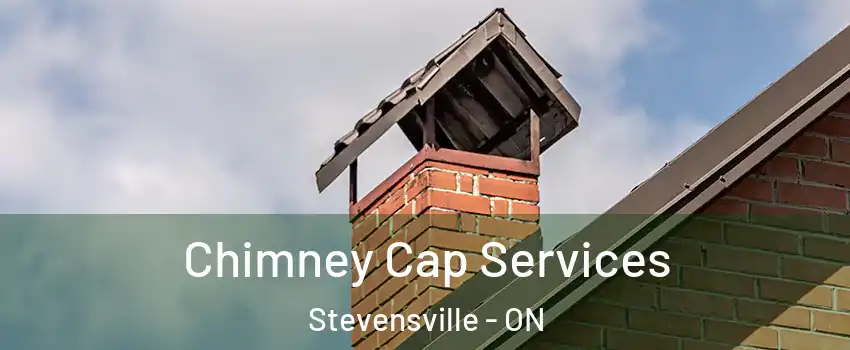  Chimney Cap Services Stevensville - ON