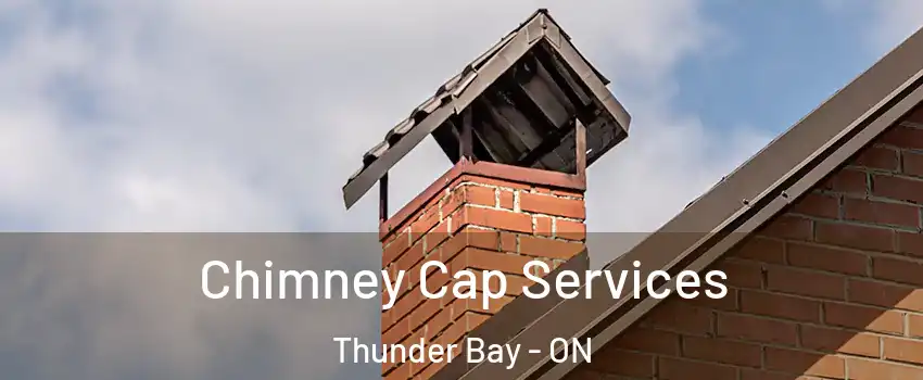  Chimney Cap Services Thunder Bay - ON