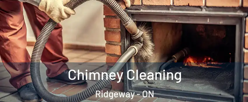  Chimney Cleaning Ridgeway - ON