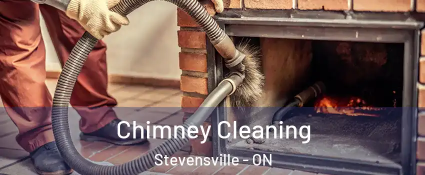  Chimney Cleaning Stevensville - ON