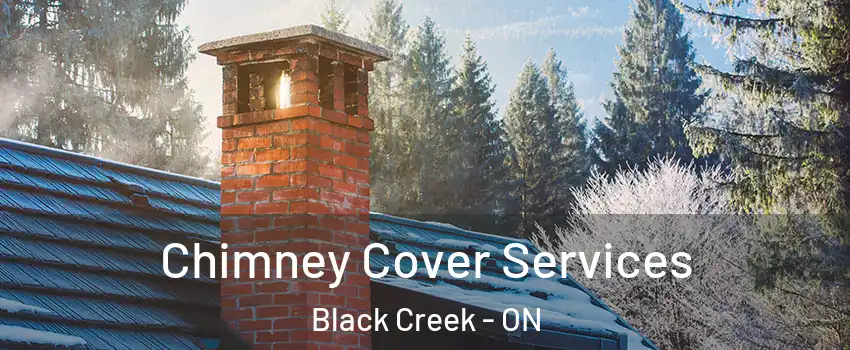  Chimney Cover Services Black Creek - ON