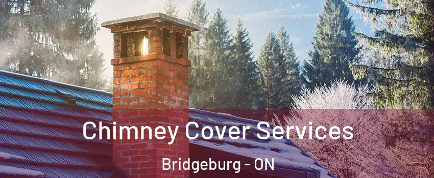  Chimney Cover Services Bridgeburg - ON