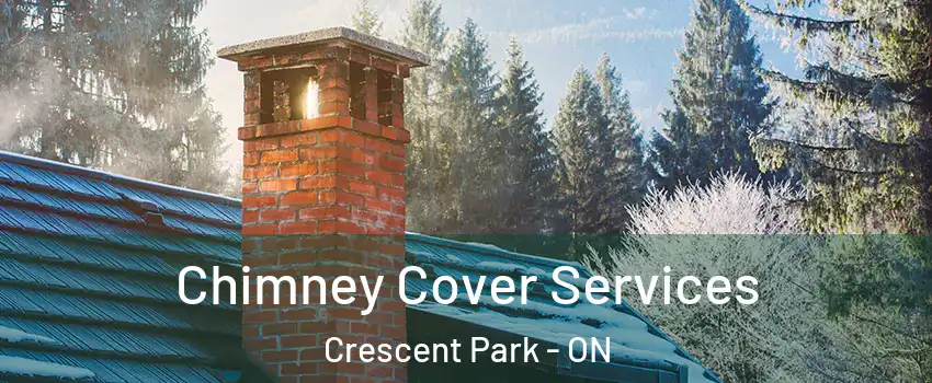  Chimney Cover Services Crescent Park - ON