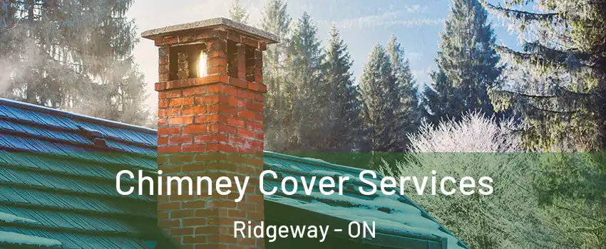  Chimney Cover Services Ridgeway - ON