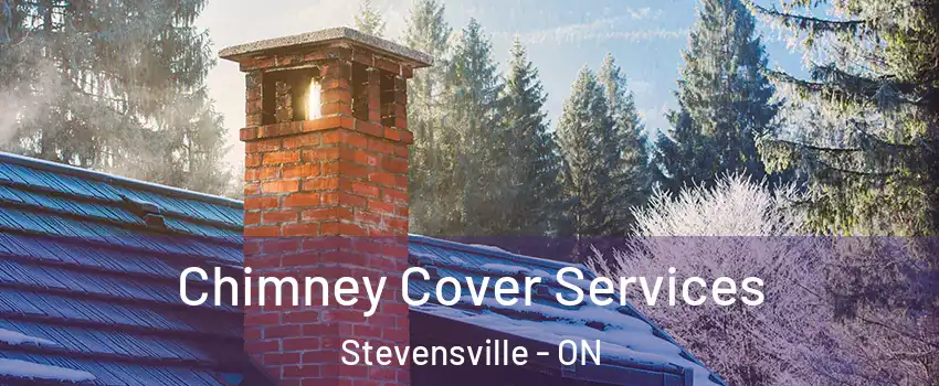  Chimney Cover Services Stevensville - ON