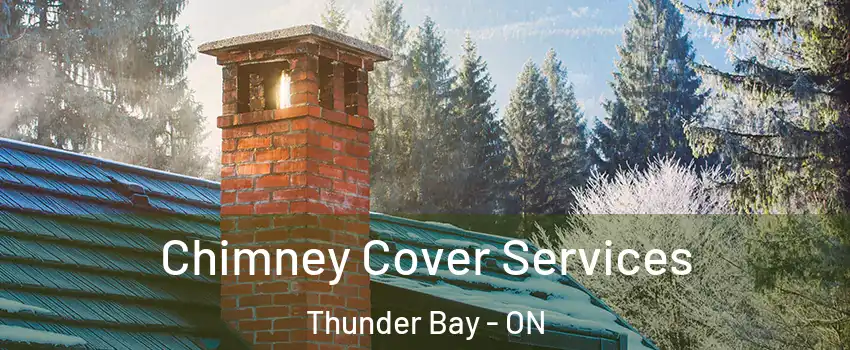  Chimney Cover Services Thunder Bay - ON