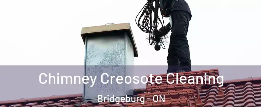  Chimney Creosote Cleaning Bridgeburg - ON