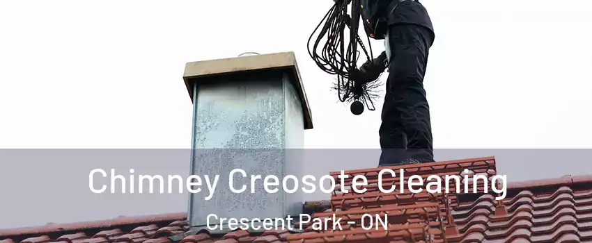  Chimney Creosote Cleaning Crescent Park - ON