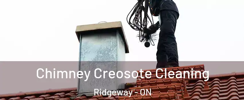  Chimney Creosote Cleaning Ridgeway - ON