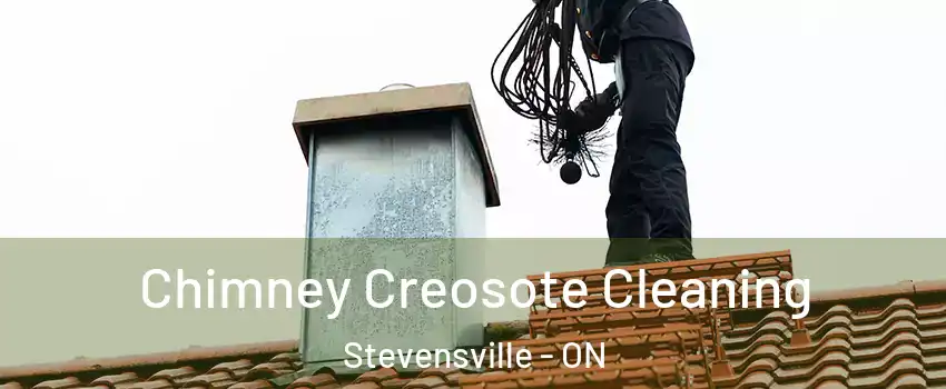  Chimney Creosote Cleaning Stevensville - ON