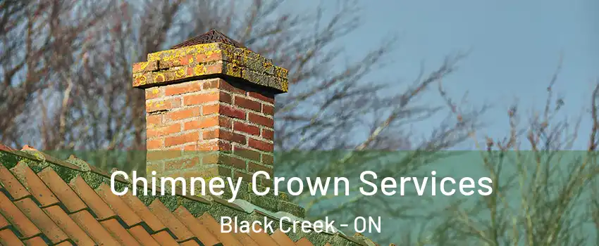  Chimney Crown Services Black Creek - ON