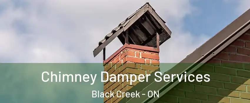 Chimney Damper Services Black Creek - ON