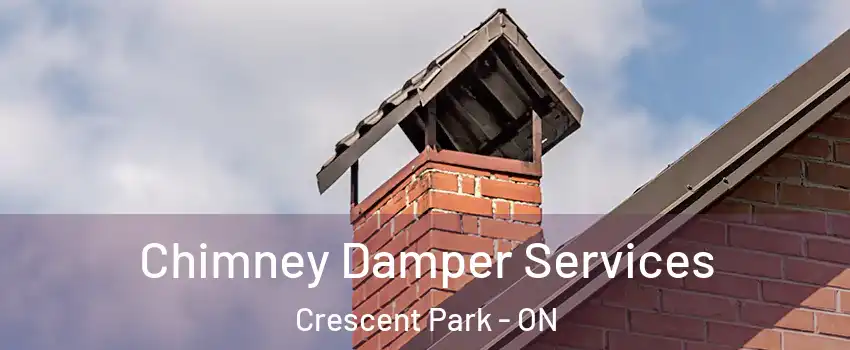  Chimney Damper Services Crescent Park - ON