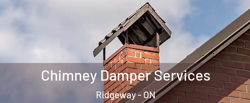  Chimney Damper Services Ridgeway - ON