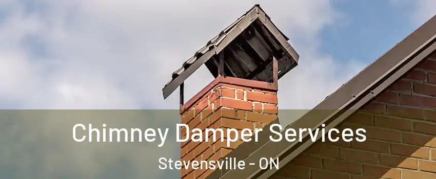  Chimney Damper Services Stevensville - ON
