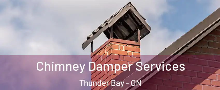  Chimney Damper Services Thunder Bay - ON