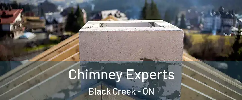  Chimney Experts Black Creek - ON